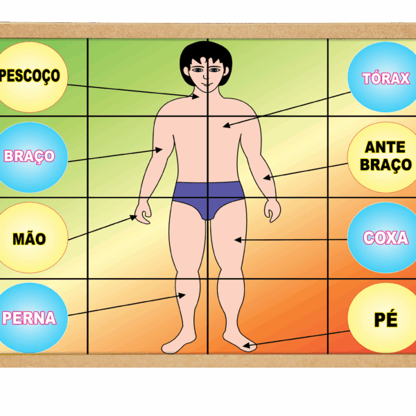 Quebra-cabeça corpo humano