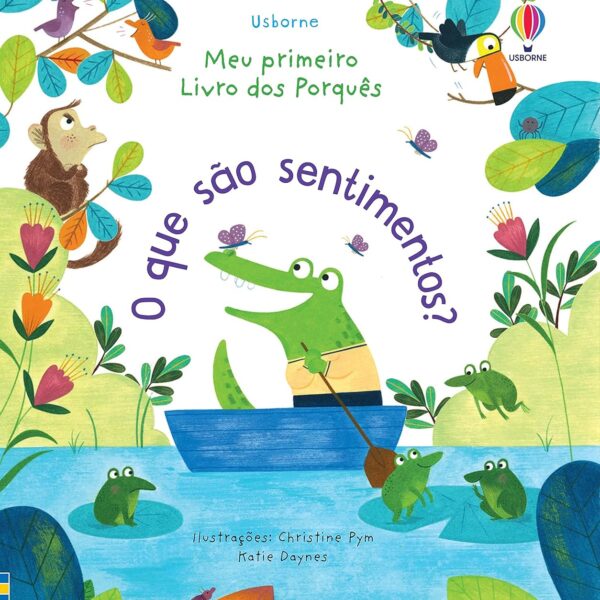 O que são sentimentos?: meu primeiro livro dos porquês